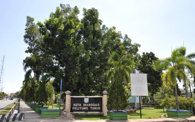 Manggar dan Aku